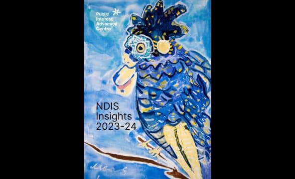 NDIS Insights cover for web 1