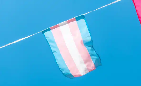 Trans flag 800 x 450