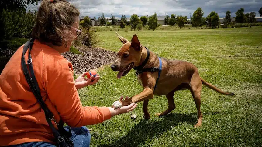 Getting fair NDIS outcomes