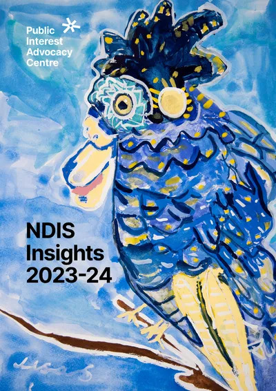 NDIS Insights 2023-24